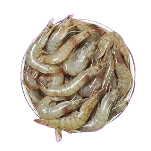 இறால்-Prawn