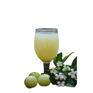 நெல்லிக்காய்/ amla juice