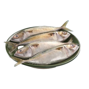 குமுலா மீன் - Mackerel fish