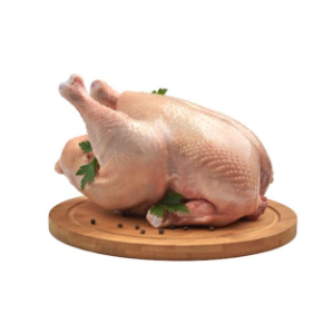 சிக்கன்-உயிர் கோழி (Chicken)