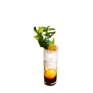 Black currant mojito