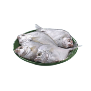 காரா மீன்-Pony fish