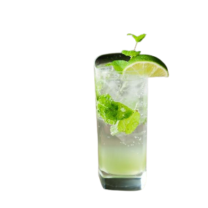 Lemon mint soda