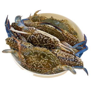 நண்டு-Crab